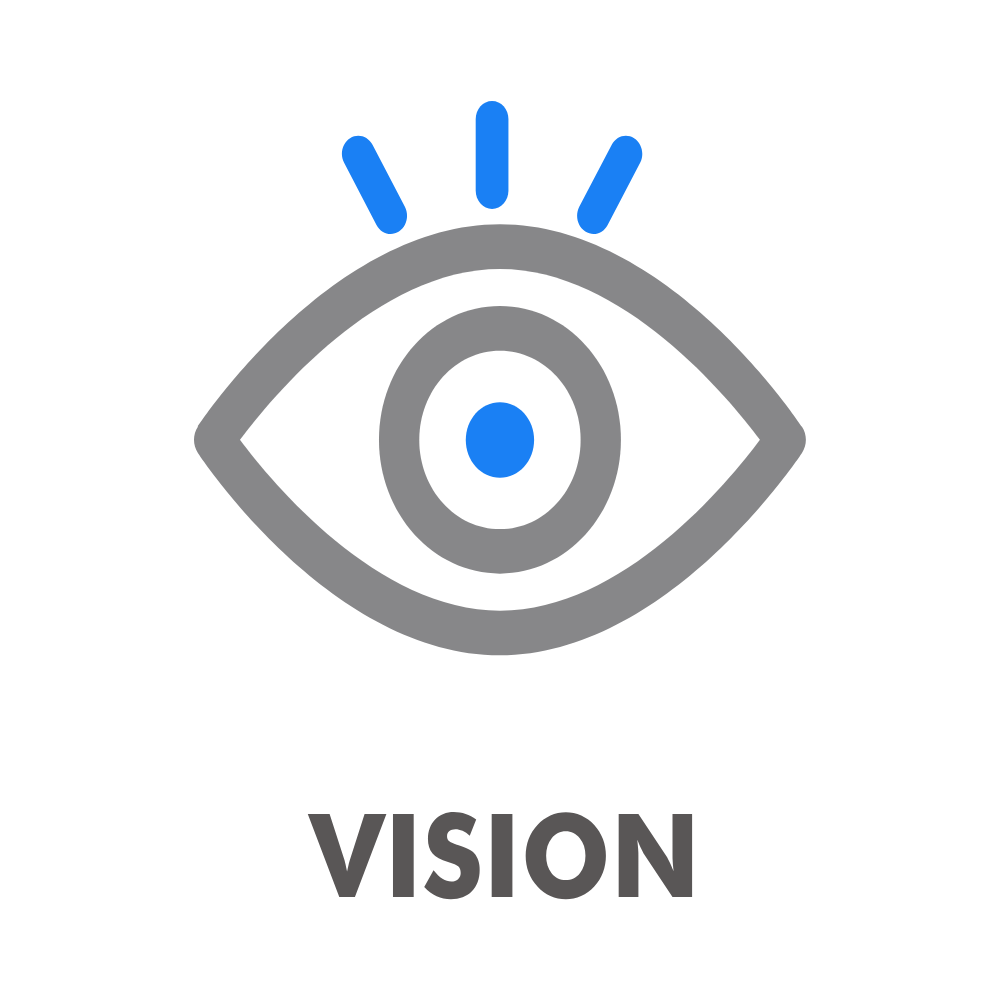 Our Vision