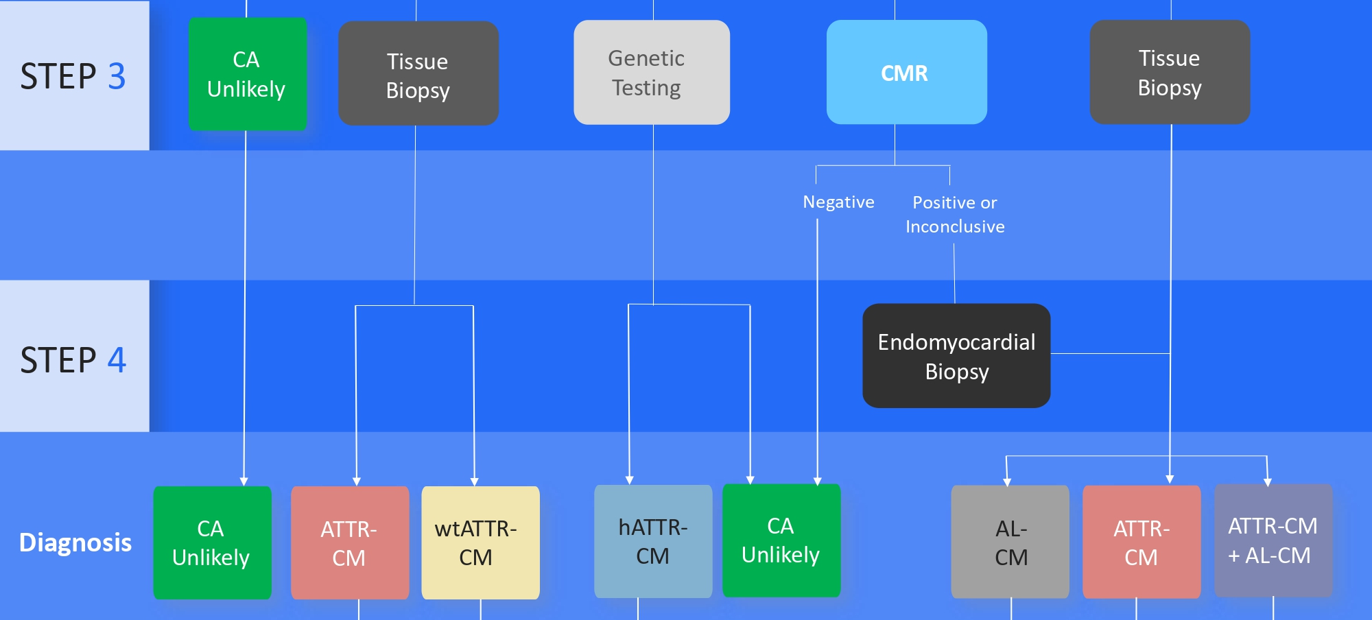 Introduction: Subtype Classification and Treatment Planning in ATTR-CM ...